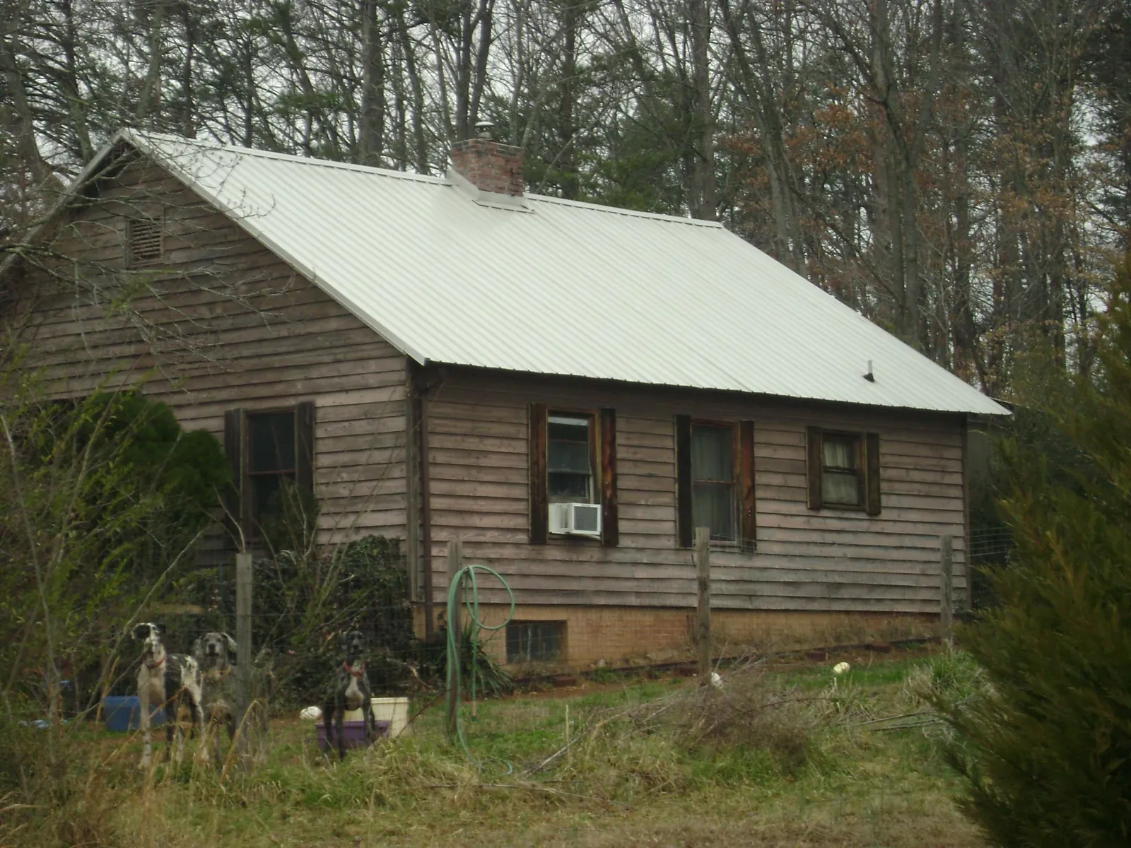 White metal roof on an old wood sided farmhouse, from a Asphalt Shingle Roof Repair job in Frenchville
